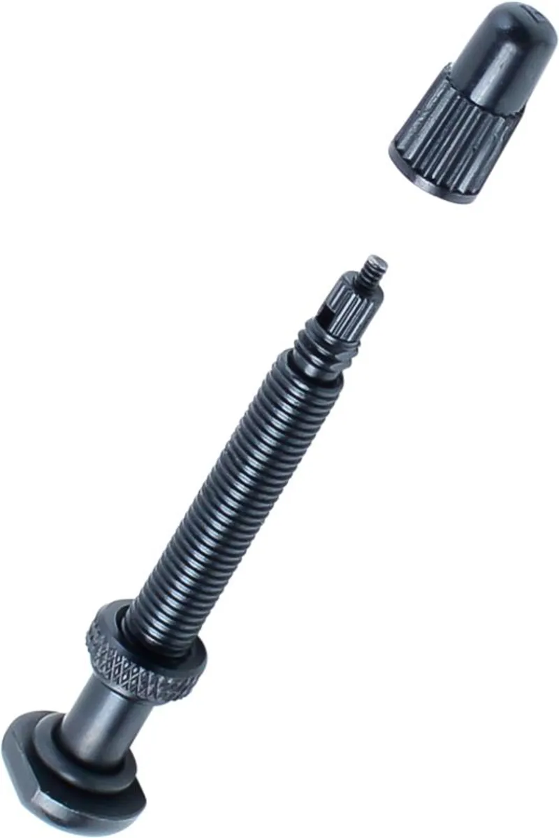 Bontrager Tubeless ATB 50mm Presta Valve in Black