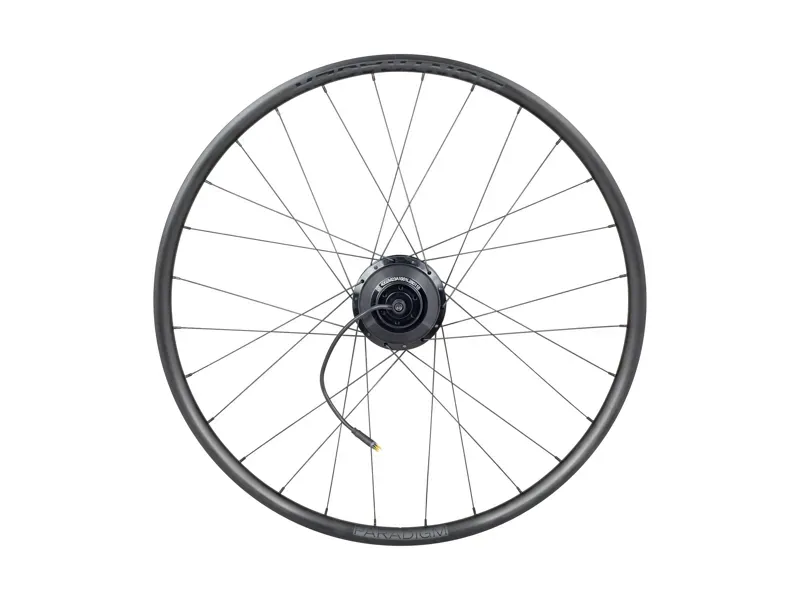 Bontrager Paradigm RW Shim. HG TLR Hyena 12-speed 700c Rear Wheel-1