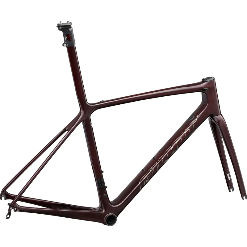 Giant TCR Advanced SL Frameset in Sincity