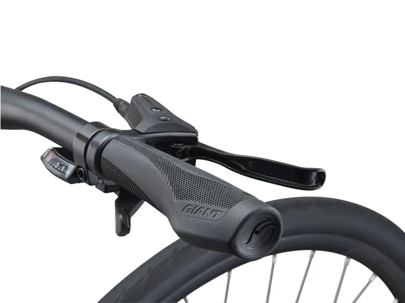  Giant Escape 2 Disc Hybrid Bike in Grey-2