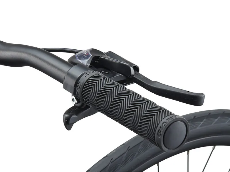  Giant Escape 3 Disc Hybrid Bike in Silver-2