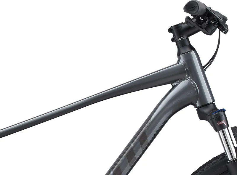  Giant Roam 2 Disc Hybrid Bike in Grey-6