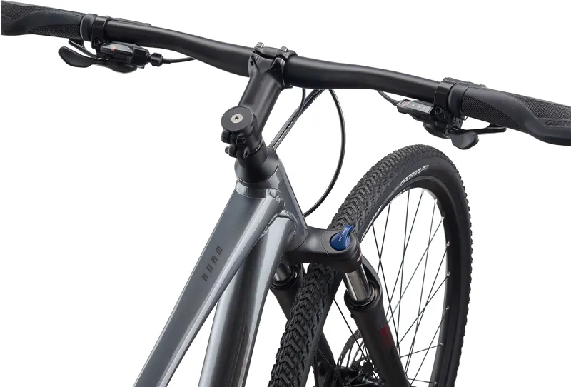  Giant Roam 2 Disc Hybrid Bike in Grey-5