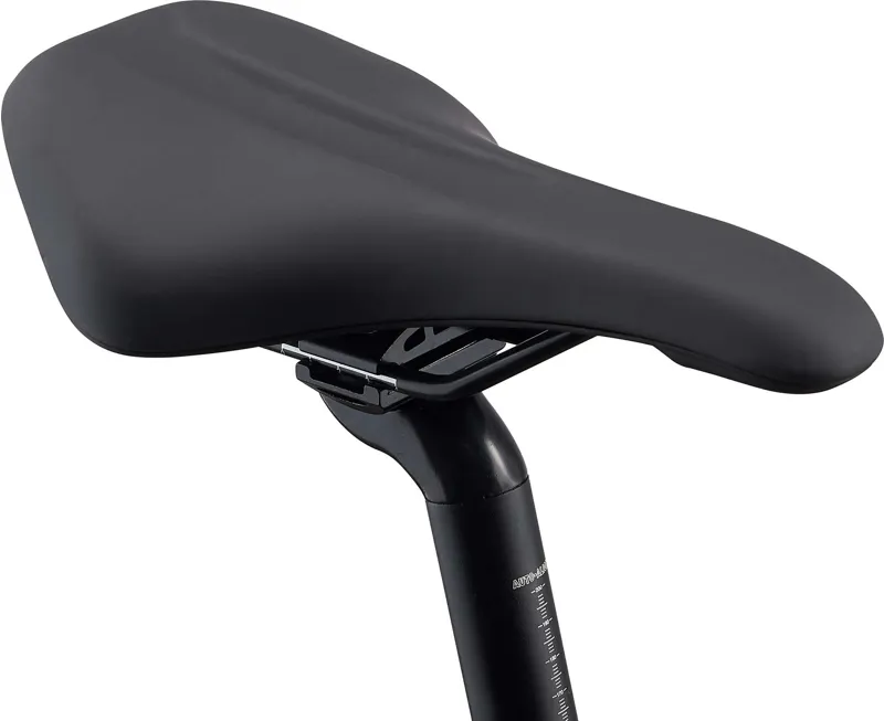  Giant Roam 2 Disc Hybrid Bike in Grey-4