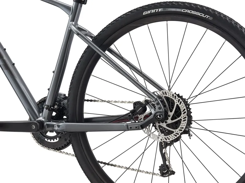  Giant Roam 2 Disc Hybrid Bike in Grey-1