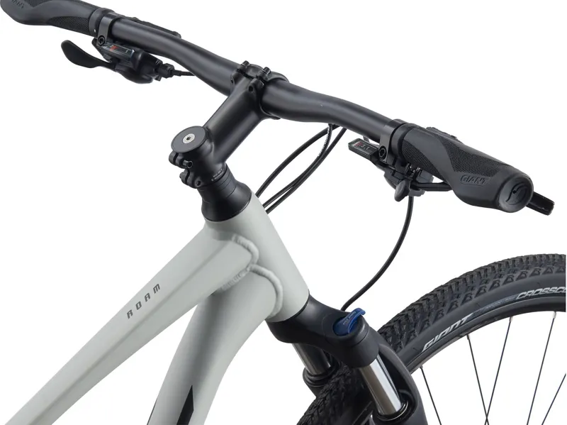  Giant Roam 3 Disc Hybrid Bike in Grey-5