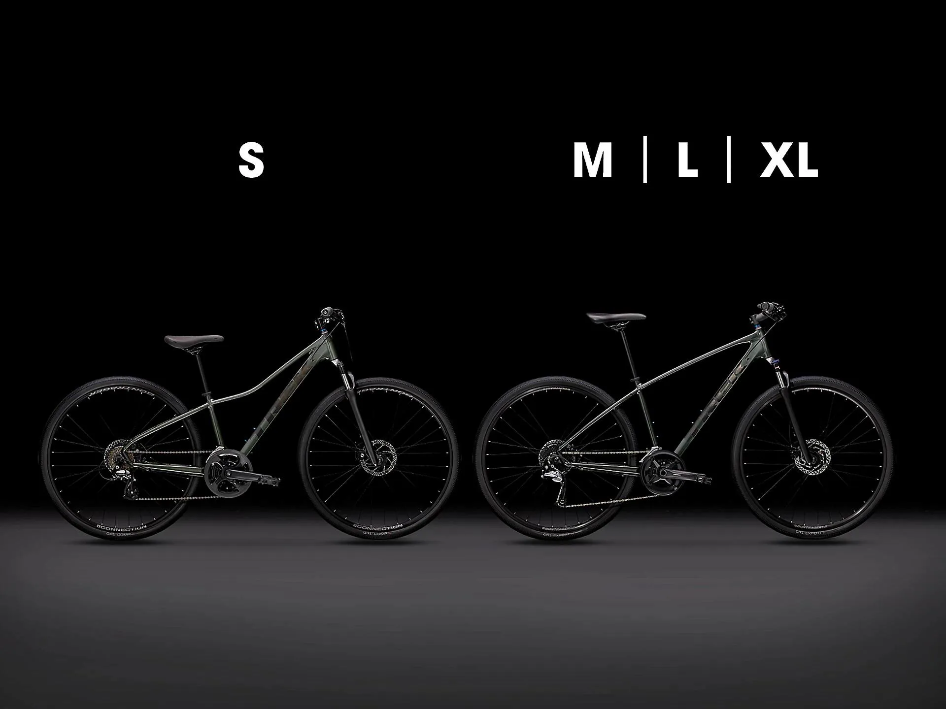 Trek Dual Sport Hybrid Bike in Silver