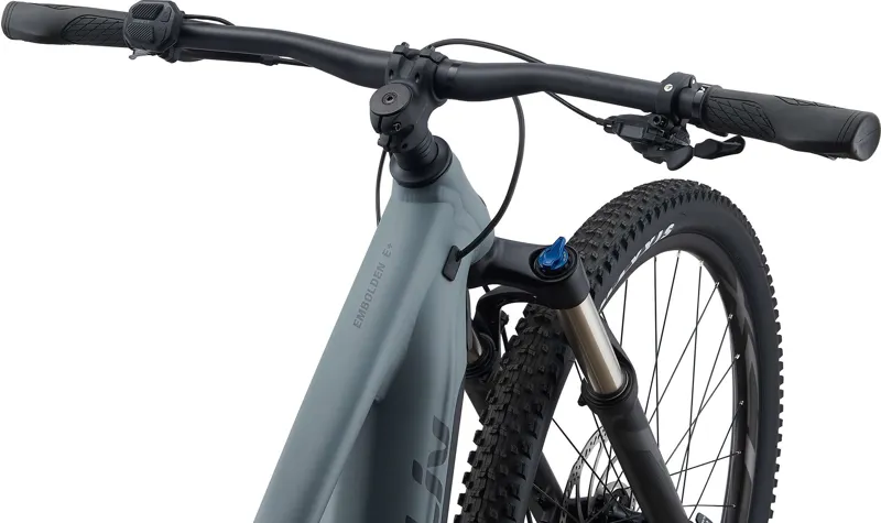 Liv Embolden E+ 2 Ladies Electric Full Suspension Mountain Bike-5