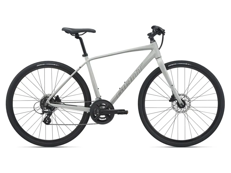  Giant Escape 2 Disc Hybrid Bike in Grey