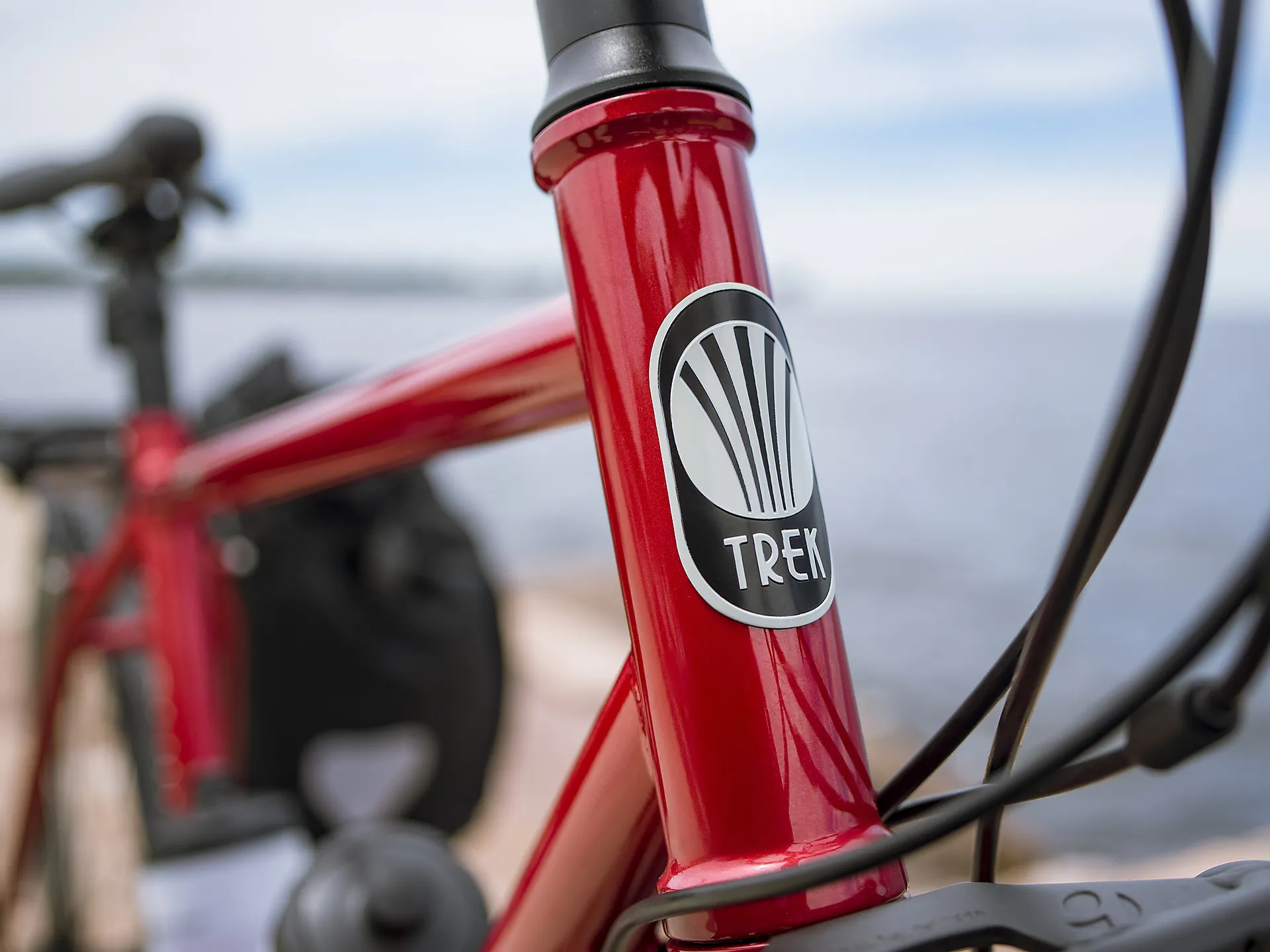 Trek steel road bike hotsell