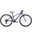Trek Wahoo 26 Hybrid Kids Bike in Purple