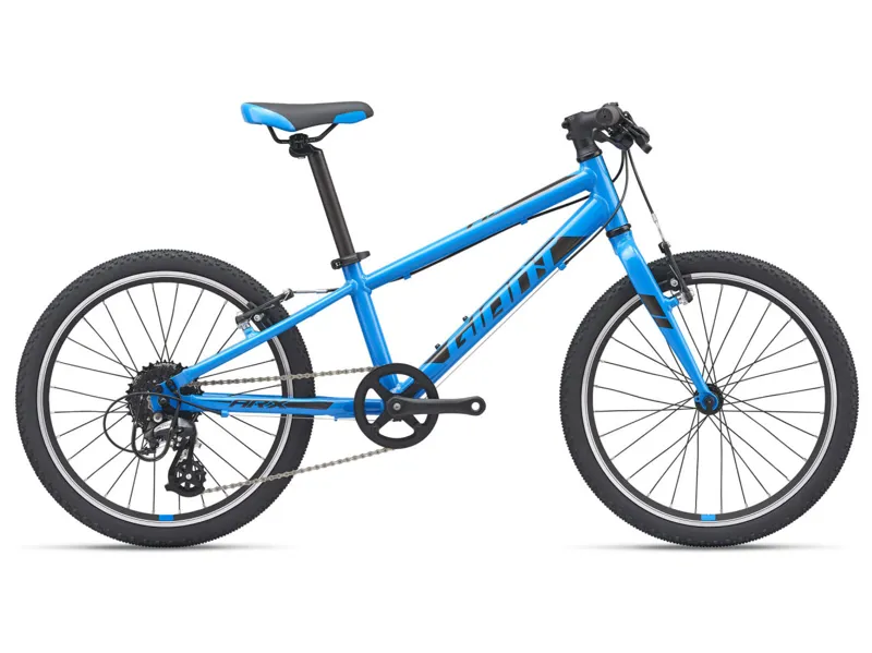  Giant ARX 20 Kids Bike in Blue
