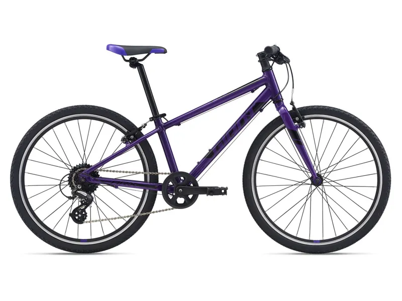  Giant ARX 24 Kids Bike in Purple