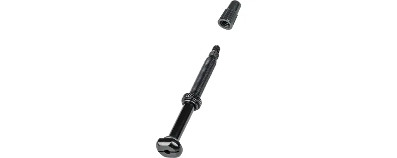 Bontrager Tubeless 67mm Presta Valve in Black