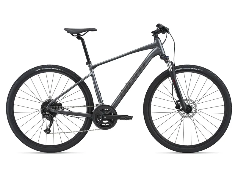  Giant Roam 2 Disc Hybrid Bike in Grey