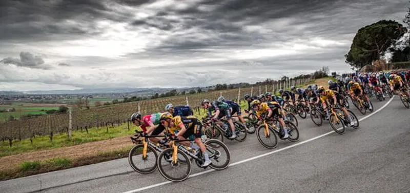 Vittoria Corsa Pro 700x24c Fold TLR G2.0 Tyre in Black Tan-3