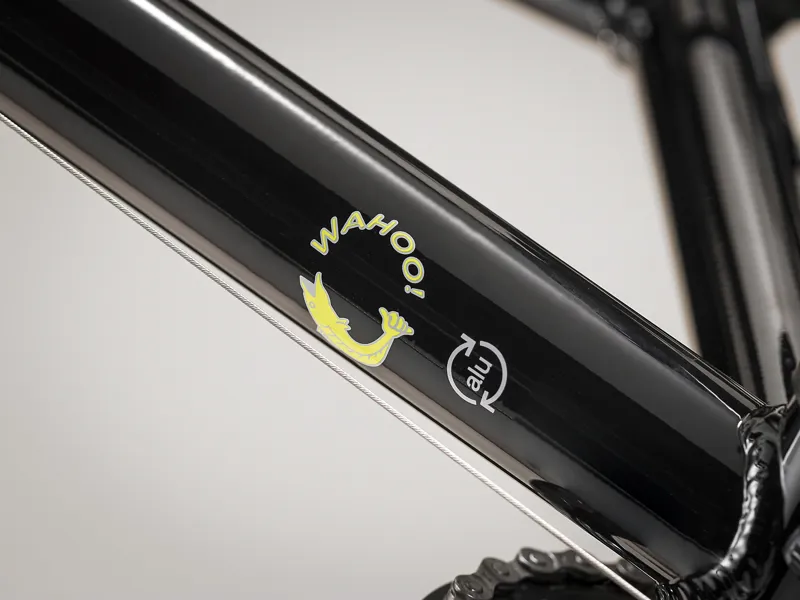 Trek Wahoo 20 Kids Bike in Black-4