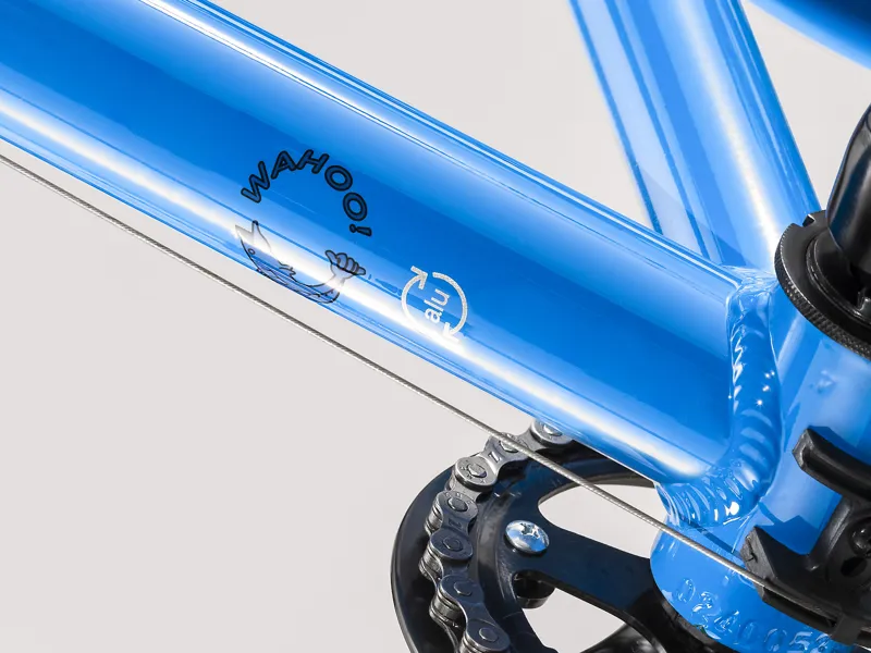 Trek Wahoo Kids Bike in Blue-1