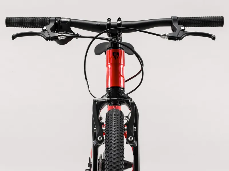 Trek Wahoo 26 Kids Bike in Red-5